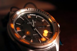 citizen watch check serial number